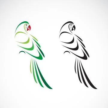 Vector of a parrot design on white background. Bird Icon. Wild Animals. Parro イラスト素材