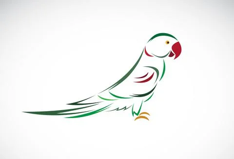Vector of parrot design on white background. Wild Animals. Birds. Easy editab Stock Illustration