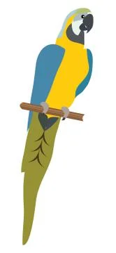 Vector Parrot Illustration Stock Illustration