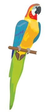 Vector Parrot Macaw Illustrazione stock