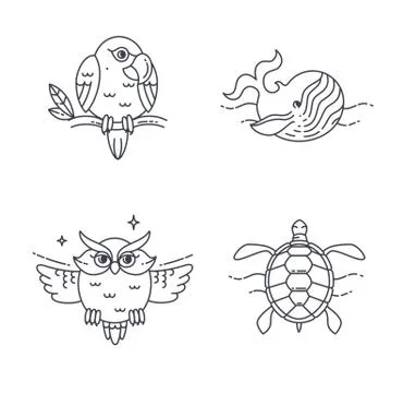 Vector Parrot, Owl, Wheel and Turtle イラスト素材