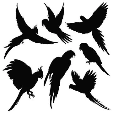 Vector parrots, amazon jungle birds silhouettes isolated on white Illustrazione stock