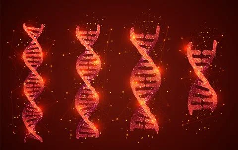 Vector. part of the human dna. 3d triangular abstract style. 库存插图