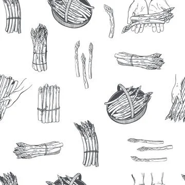 Vector   pattern with asparagus Stock Illustration