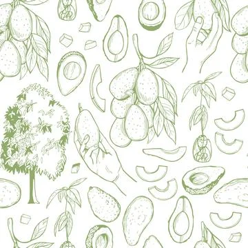 Vector   pattern with  avocado. Stock Illustration