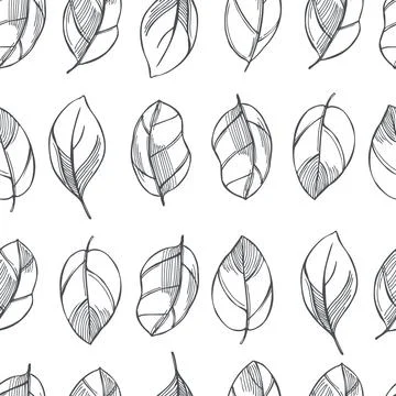 Vector pattern with  basil  leaves. Stock Illustration