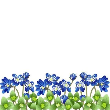 Vector pattern of bright blue flowers and green leaves on the bottom edge イラスト素材
