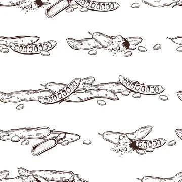 Vector pattern with carob fruits. Stock Illustration