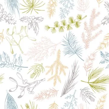 Vector   pattern with  Christmas plants Stock Illustration