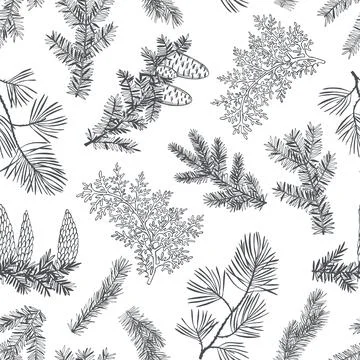 Vector   pattern with Christmas plants Stock Illustration