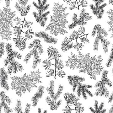 Vector   pattern with Christmas plants Stock Illustration