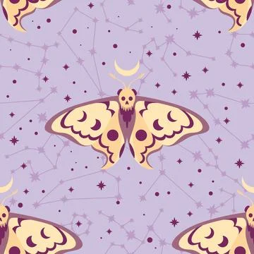 Vector pattern with the constellations of the zodiacs and a butterfly Stock Illustration