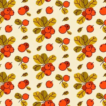 Vector pattern of cowberry, lingonberry and cranberry. Isolated illustration  Stock Illustration