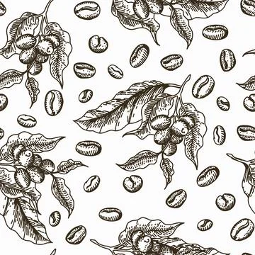 Vector pattern of flowers, berries and coffee beans. sepia color, sketch draw Stock Illustration