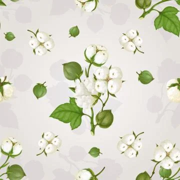 Vector pattern of flowers of cotton Stock Illustration