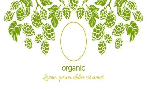 Vector pattern of fresh hop. Green shape of branch, leaves, cone. Botanical s Stock Illustration