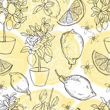 Vector pattern . Fruits, flowers and trees in pots. Stock Illustration