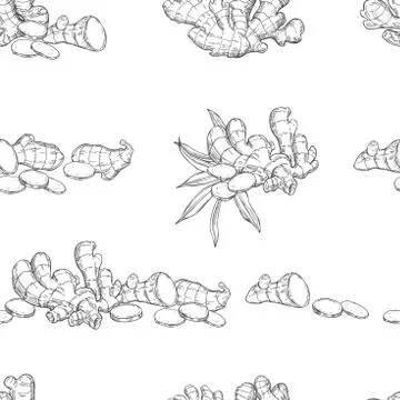 Vector pattern with Ginger root. Stock Illustration
