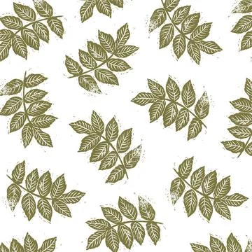 Vector pattern of green ash leaves. イラスト素材