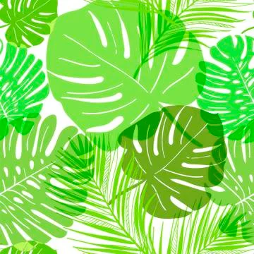Vector pattern green tropical leaves summer transparent Stock Illustration