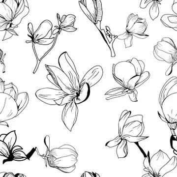 Vector pattern hand drawn Collection of magnolia flower and leaves Stock Illustration