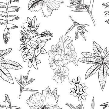 Vector pattern of hand drawn exotic tropical flowers, leaves, jungle plants. Stock Illustration
