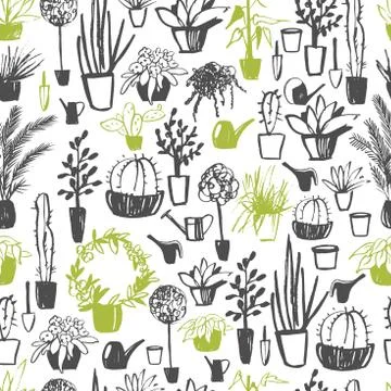 Vector   pattern with  hand drawn  house plants. Stock Illustration