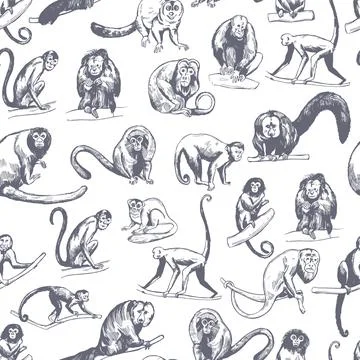 Vector  pattern with hand-drawn monkeys of South America. 스톡 일러스트