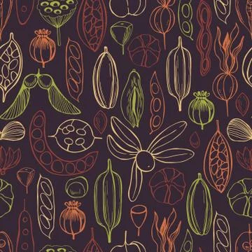 Vector   pattern with hand drawn seedpods. 스톡 일러스트