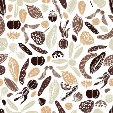 Vector   pattern with hand drawn seedpods. Stock Illustration