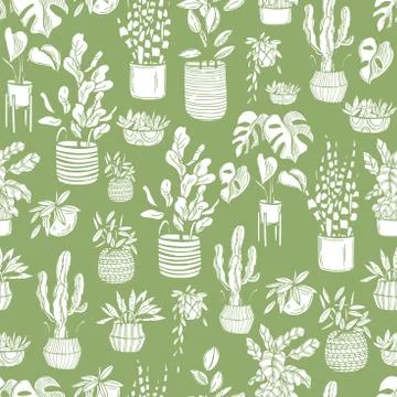 Vector pattern with house plants. Stock Illustration