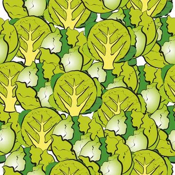 Vector pattern with an illustration of iceberg lettuce. Stock Illustration