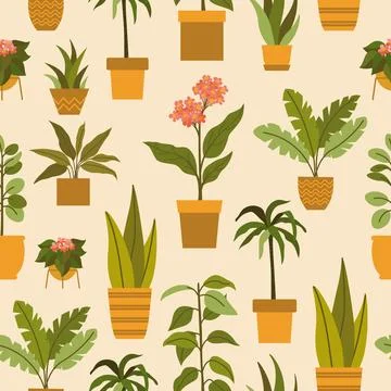Vector pattern with indoor plants Stock Illustration