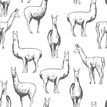 Vector  pattern with  lamas. Illustrazione stock