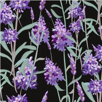 Vector pattern with Lavender. Hand painting. Seamless texture for fabric, paper 스톡 일러스트
