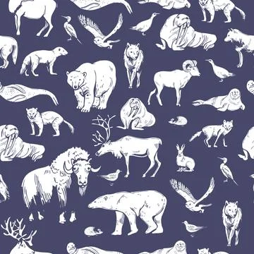 Vector   pattern with  northern animals and birds. イラスト素材