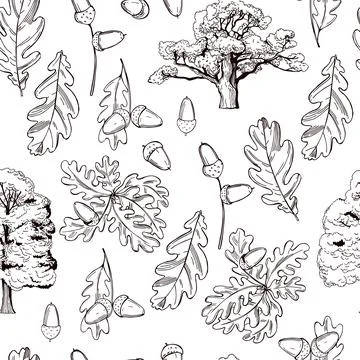 Vector  pattern with oak trees . Stock Illustration
