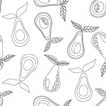 Vector pattern with out line drawn avocado set with leaf on white background Stock Illustration