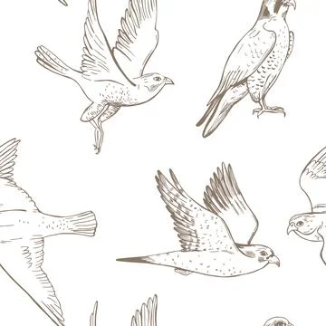 Vector pattern with peregrine falcon Stock Illustration