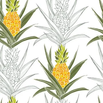 Vector pattern with  pineapple. Stock Illustration