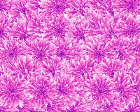 Vector pattern with pink exotic flowers on isolated backgorund. Vector backgo Illustrazione stock