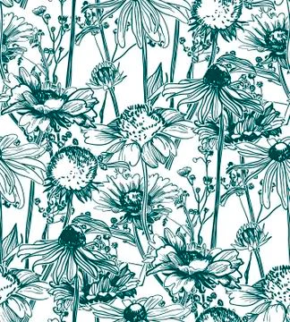 Vector pattern plant engrave ink meadow flowers Stock Illustration