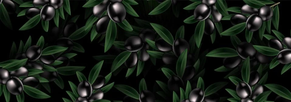 Vector pattern with ripe black olives on dark Background. design for banner o Stock Illustration
