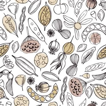 Vector  pattern with seedpods. Stock Illustration