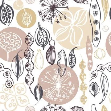 Vector pattern with  seedpods. 库存插图