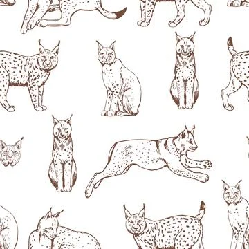 Vector pattern with sketch lynx. Illustrazione stock