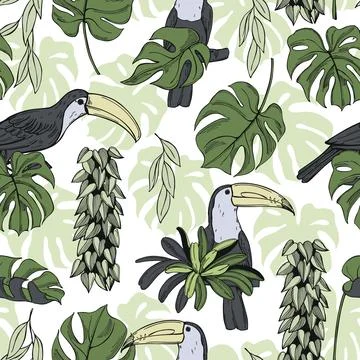 Vector pattern with tropical plants and birds. Stock Illustration