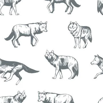 Vector  pattern with  wolf. イラスト素材