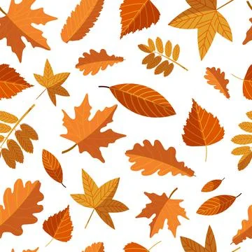 Vector pattern with yellow autumn leaves mix Stock Illustration