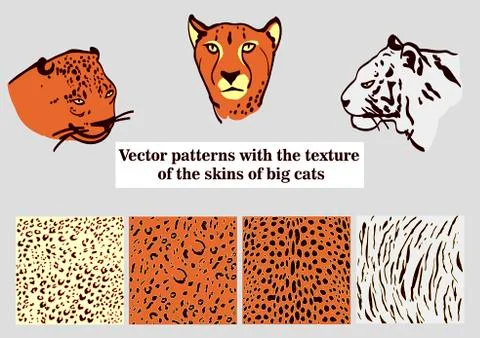 Vector patterns with the texture of the skins of big cats. Illustrazione stock